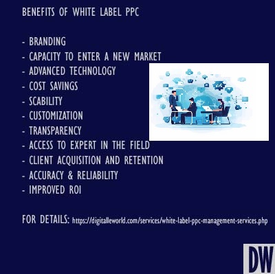 white label ppc services from digitalleworld.com